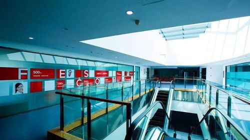 通州園區 以產業集聚為引擎，推動人力資源服務雁陣騰飛